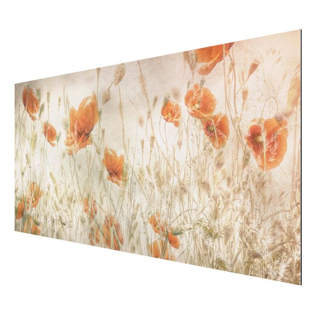 Floral canvas Poppy Flowers And Grasses In A Field