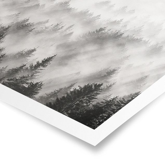 Modern art prints Light Rays In The Coniferous Forest