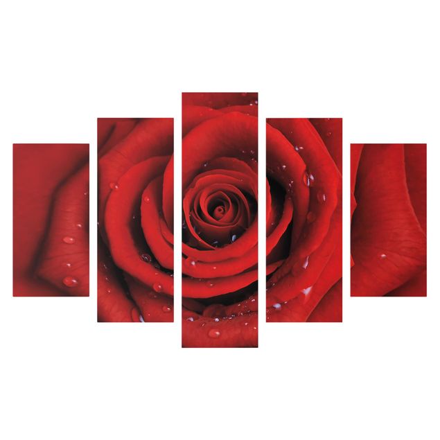 Mountain canvas wall art Red Rose With Water Drops