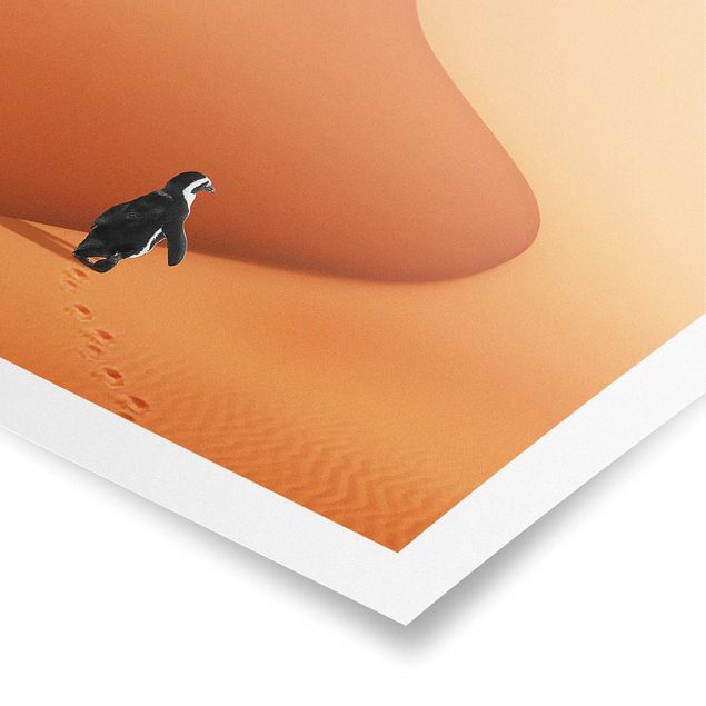 Animal canvas Desert With Penguin