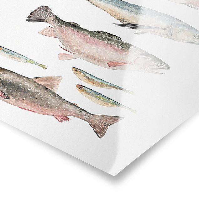 Prints modern Seven Fish In Watercolour I
