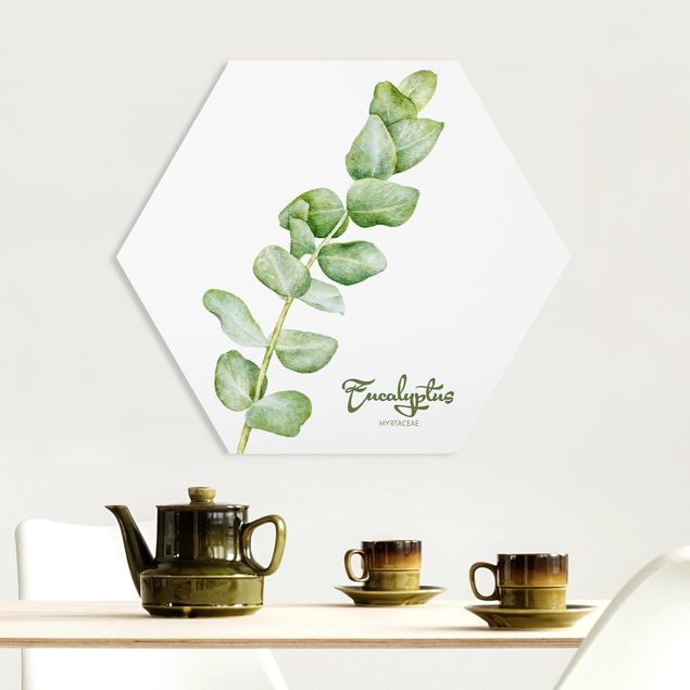 Framed quotes Watercolour Botany Eucalyptus