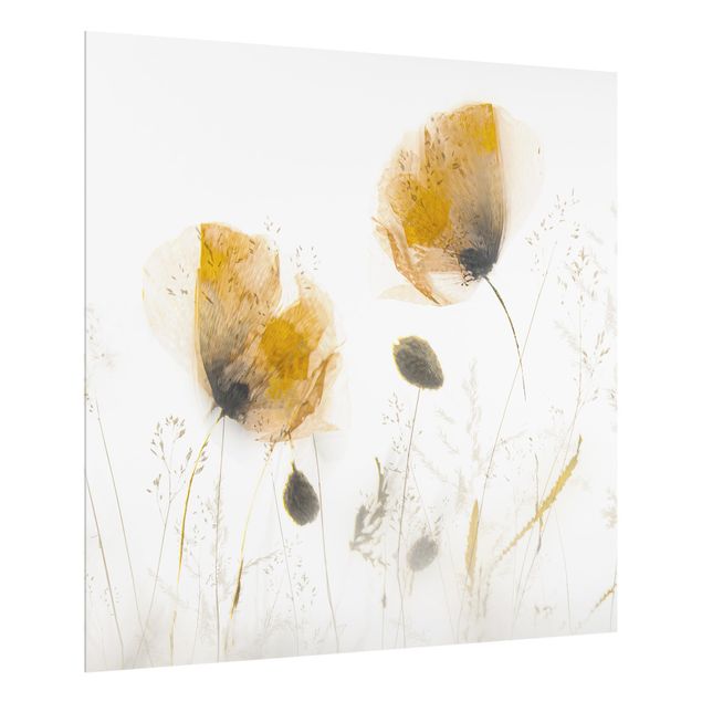 Glass splashback kitchen Poppy Flowers And Delicate Grasses In Soft Fog