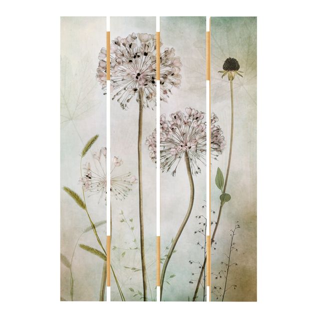 Prints Allium flowers in pastel