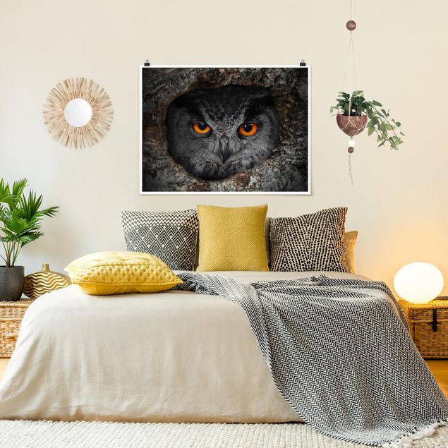 Contemporary art prints Watching Owl