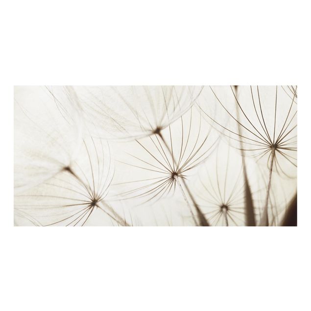 Glass Splashback - Gentle Grasses - Landscape 1:2