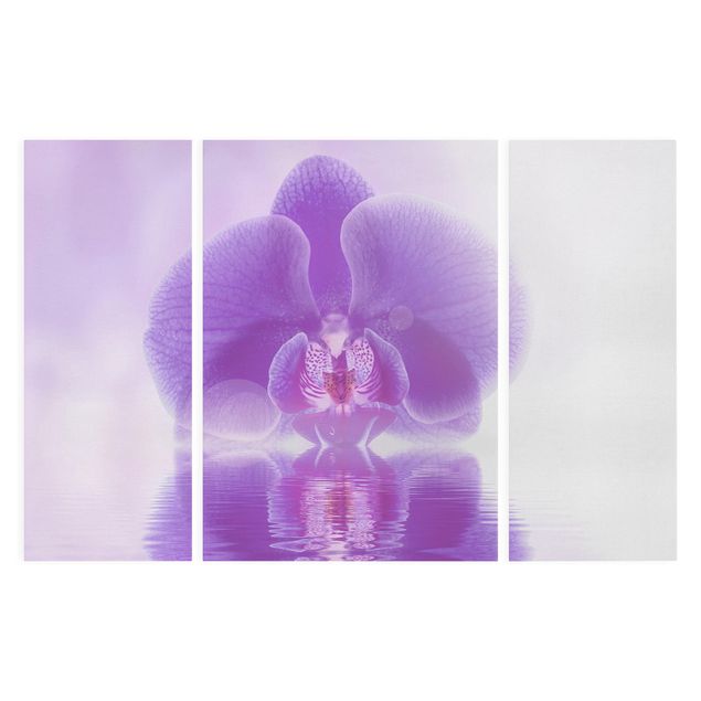 Prints flower Purple Orchid On Water