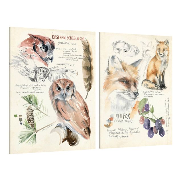 Floral canvas Wilderness Journal Owl And Fox Set I