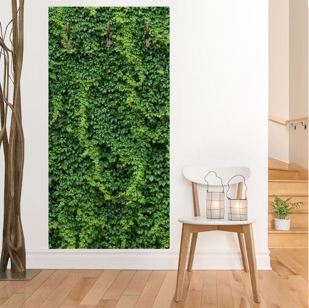 Adhesive films frosted Ivy