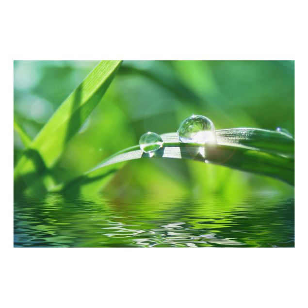 Glass Splashback - Green Ambiance II - Landscape 2:3