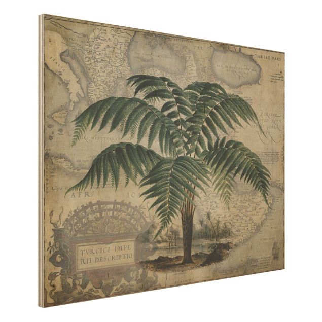 Kitchen Vintage Collage - Palm And World Map