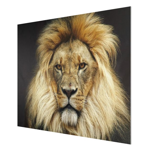 Contemporary art prints Wisdom Of Lion