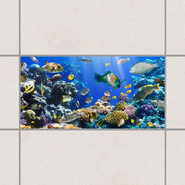 Kitchen Underwater Reef