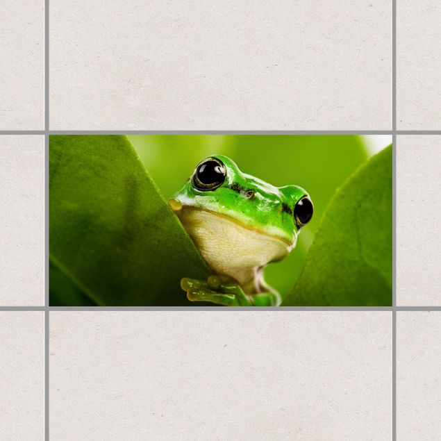 Kitchen Frog