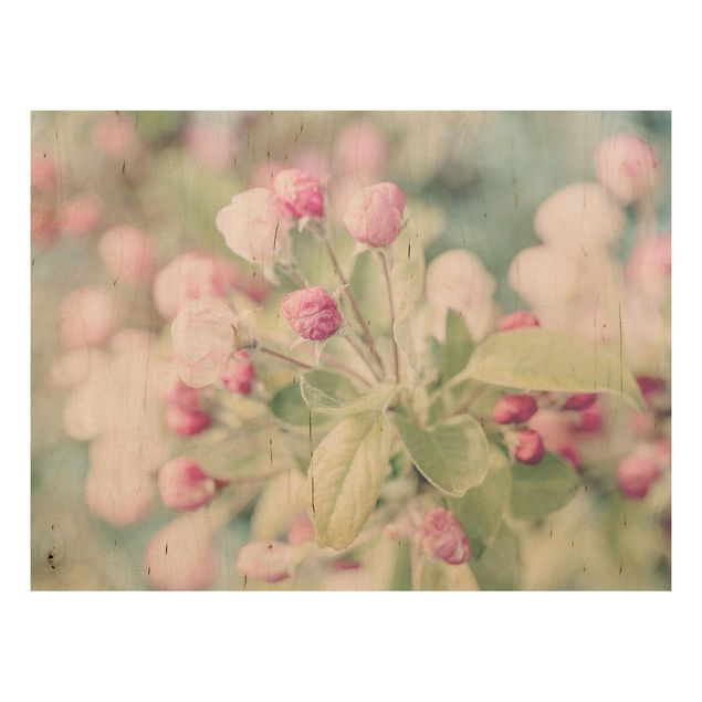 Wood prints flower Apple Blossom Bokeh Light Pink
