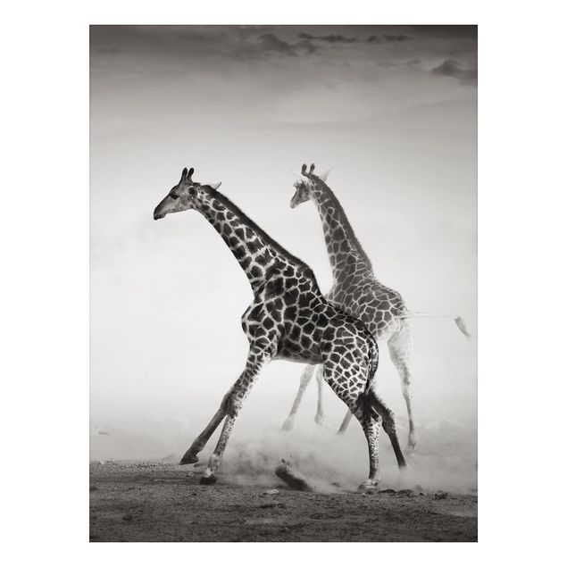 Giraffe canvas Giraffe Hunt
