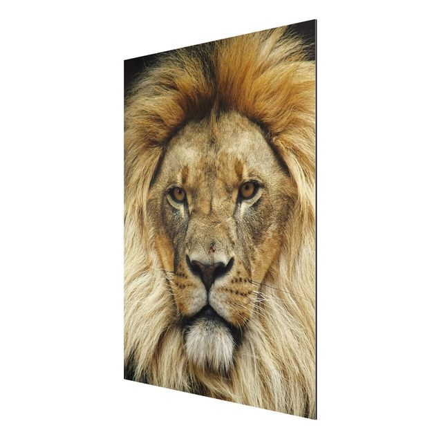 Animal wall art Wisdom Of Lion