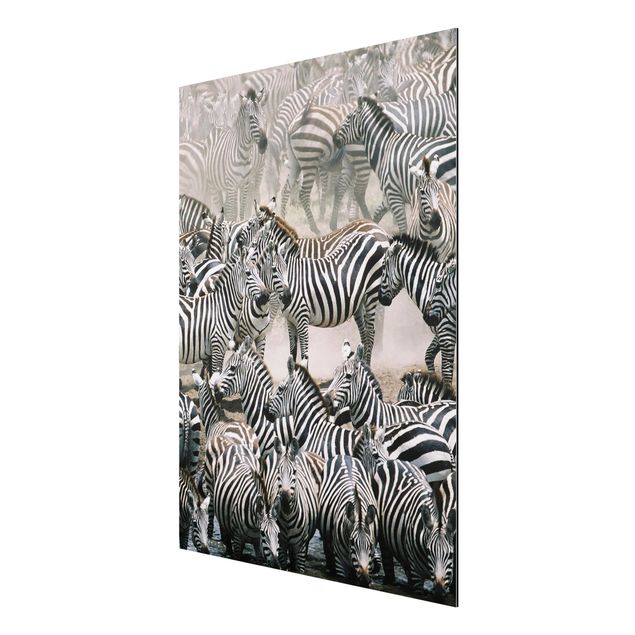 Animal wall art Zebra Herd