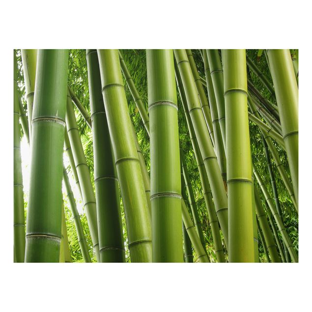 Landscape canvas prints Bamboo Trees No.1