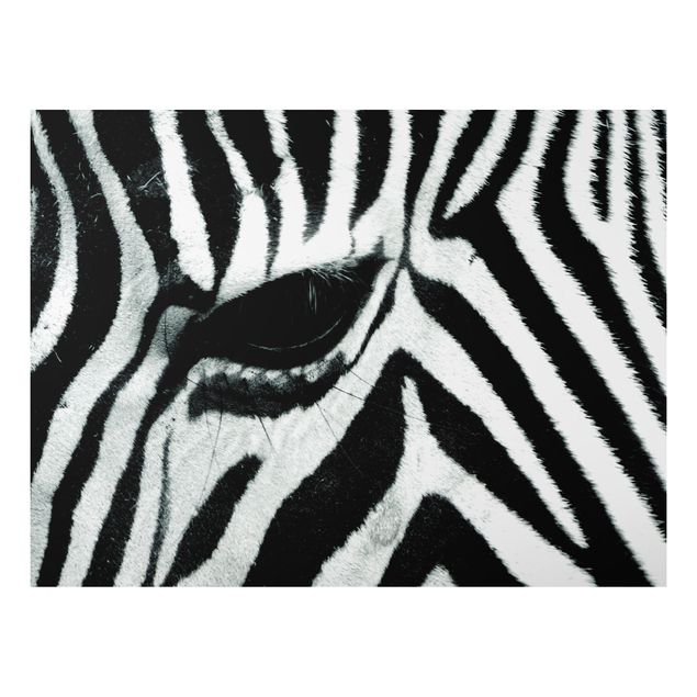 Prints zebra Zebra Crossing No.2