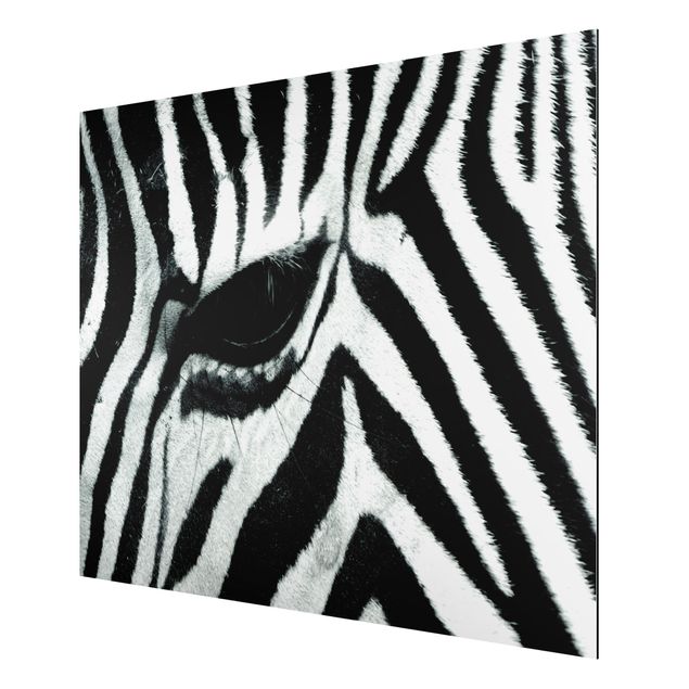 Prints animals Zebra Crossing No.2