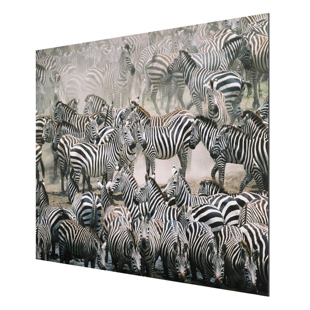 Animal wall art Zebra Herd