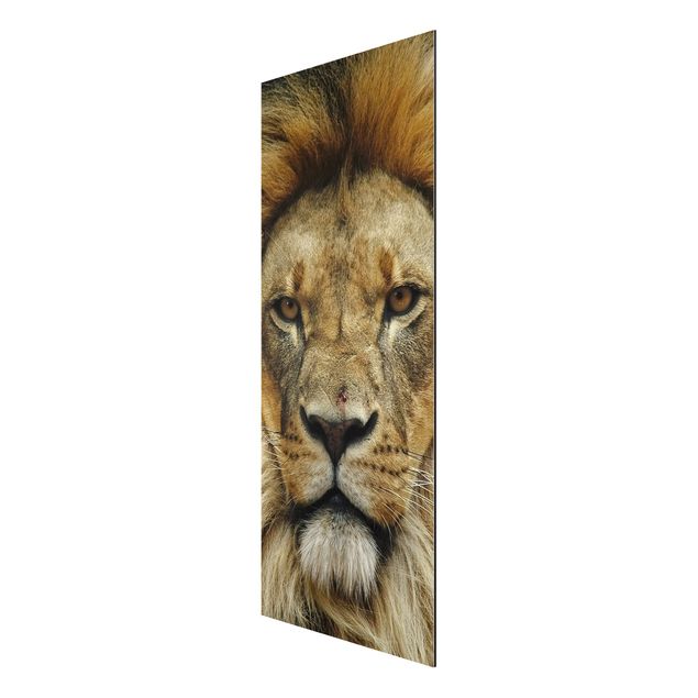 Animal wall art Wisdom Of Lion