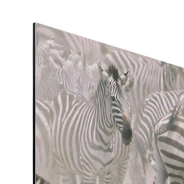 Prints africa Zebra Herd