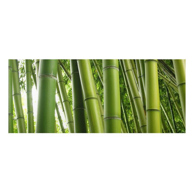 Landscape canvas prints Bamboo Trees No.1