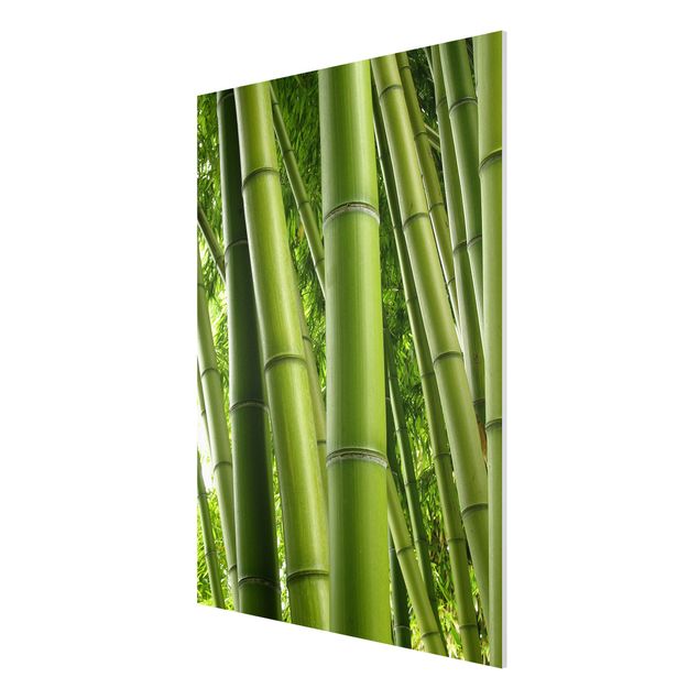 Trees on canvas Bamboo Trees No.1