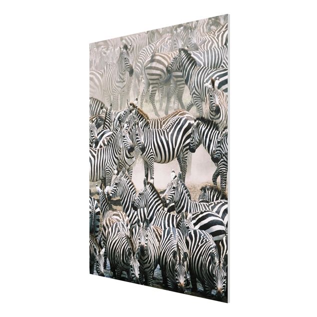 Prints animals Zebra Herd