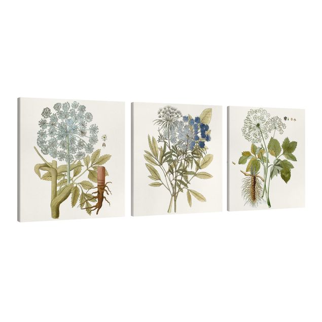 Floral picture Wild Herbs Board Set I