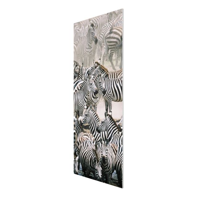 Prints animals Zebra Herd