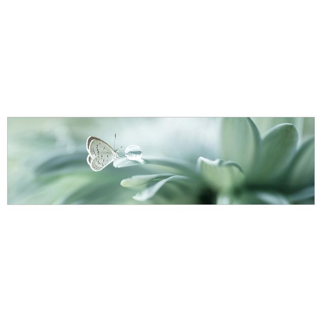 Kitchen wall cladding - Butterfly And Dew Drops In Pastel Green