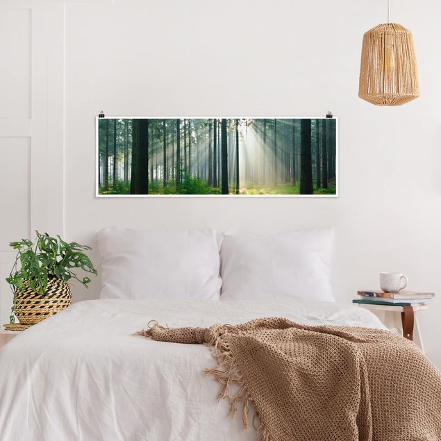 Landscape canvas prints Enlightened Forest