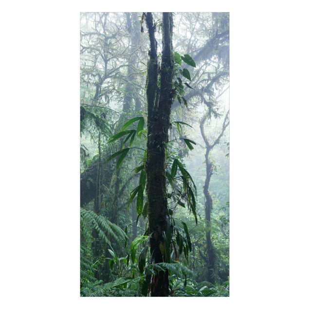 Shower wall cladding - Monteverde Cloud Forest
