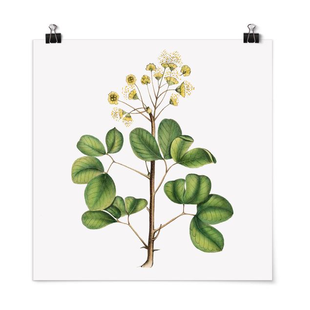Floral canvas Foliage With Flowers IV