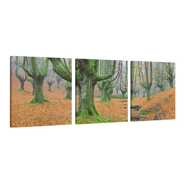 Modern art prints Beech Forest In The Gorbea Natural Park In Spain