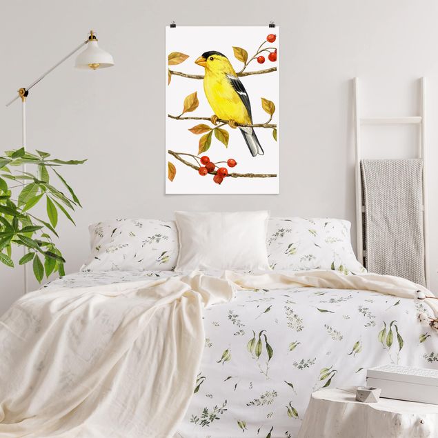 Vintage wall art Birds And Berries - American Goldfinch