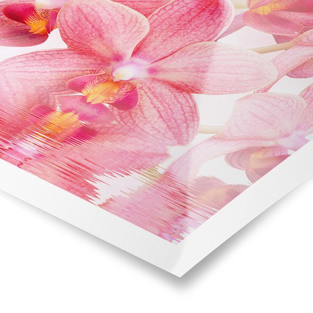 Modern art prints Light Pink Orchid On Water