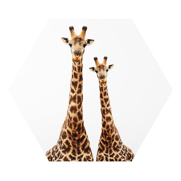 Forex prints Portait Of Two Giraffes