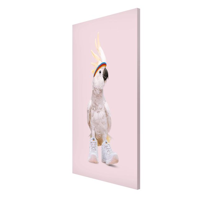 Magnet boards animals Kakadu With Shoes