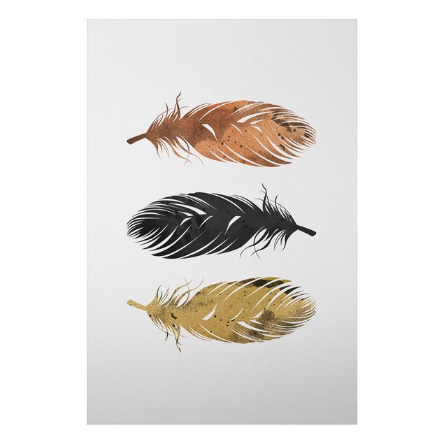 Art prints Feathers