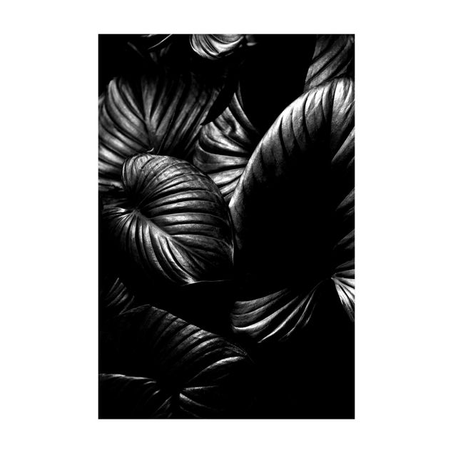 jungle nursery rug Black And White Botany Hosta
