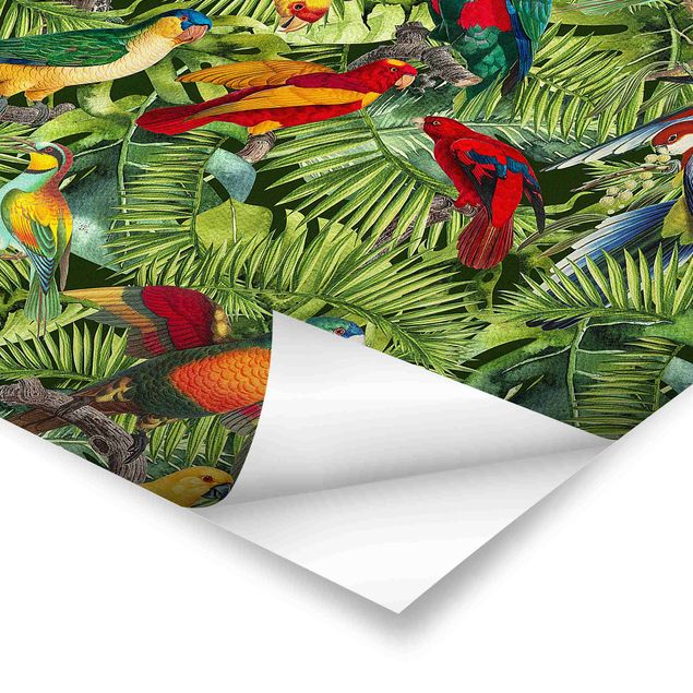 Andrea Haase Colourful Collage - Parrots In The Jungle