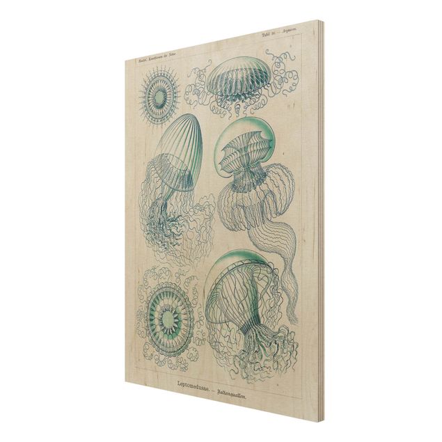 Prints Vintage Board Jellyfish In Blue