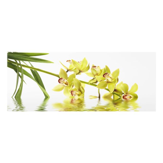 Glass Splashback - Elegant Orchid Waters - Panoramic