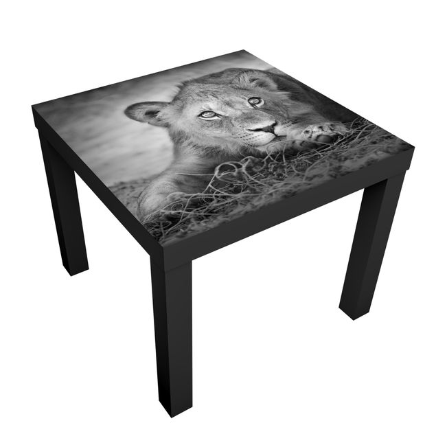 Self adhesive furniture covering Lurking Lionbaby
