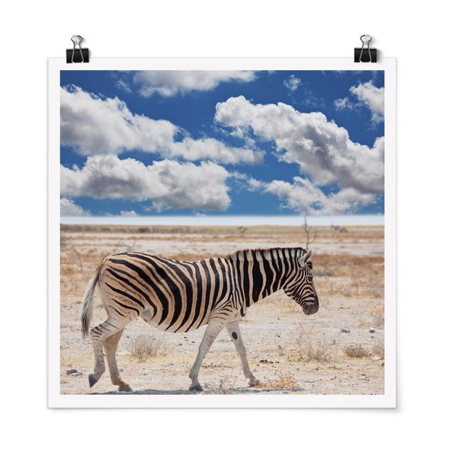 Landscape canvas prints Zebra In The Savannah