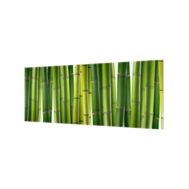 Glass Splashback - Bamboo Plants - Panoramic